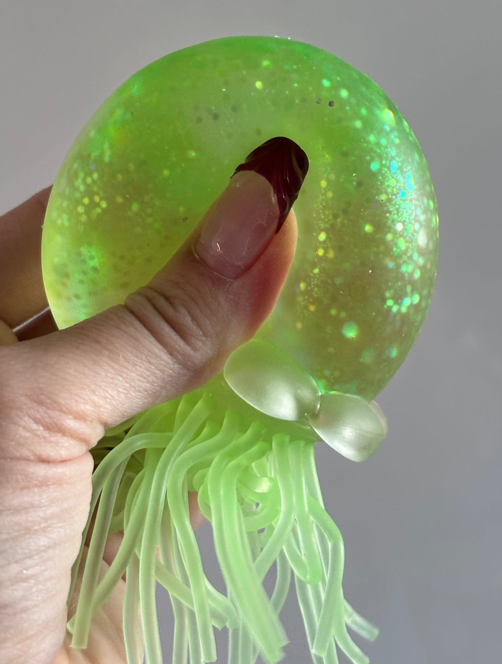 Squish Squeeze Jell-I-Squish
