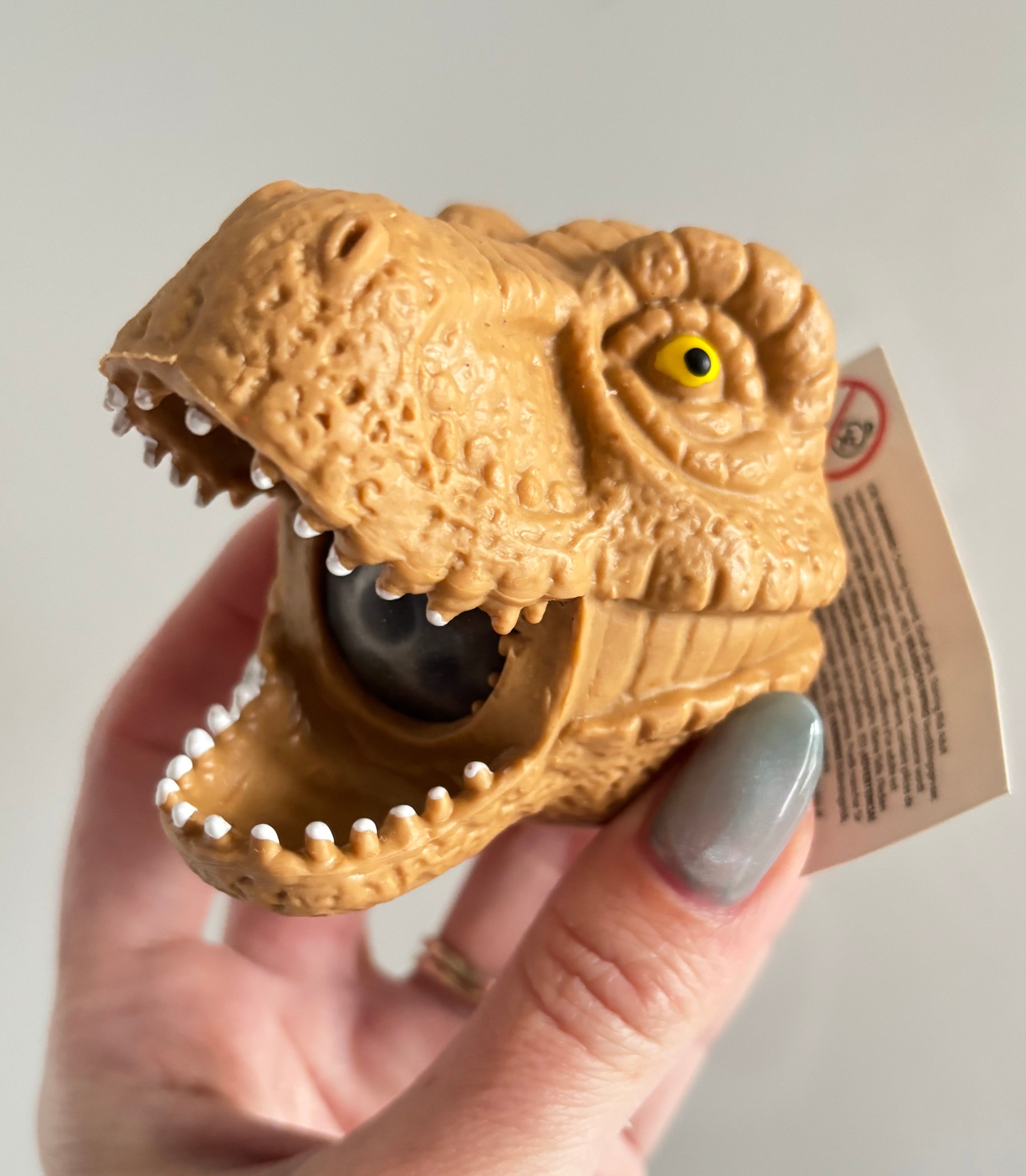 Dino head water bead squishy