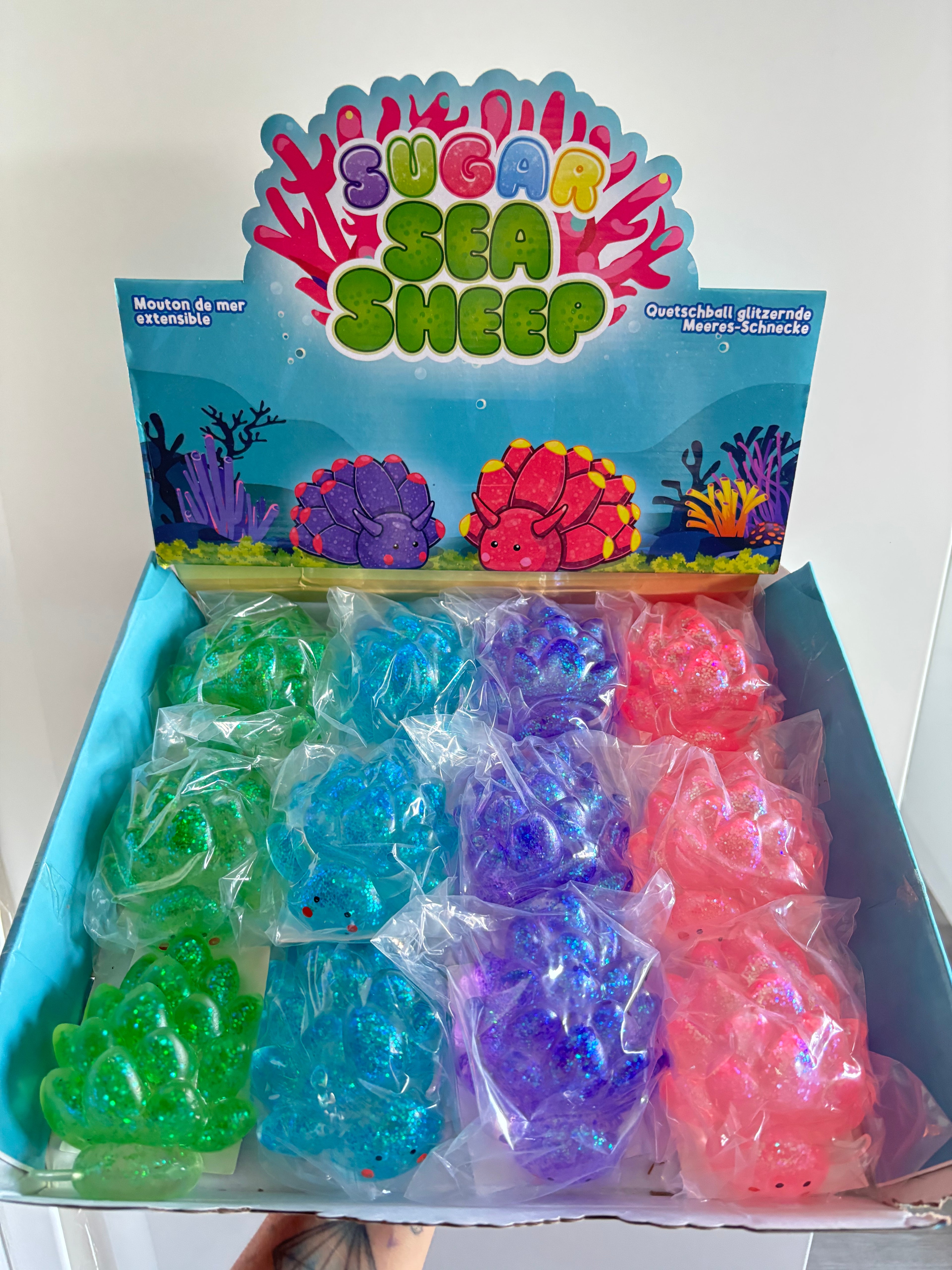 Sugar gel sea sheep