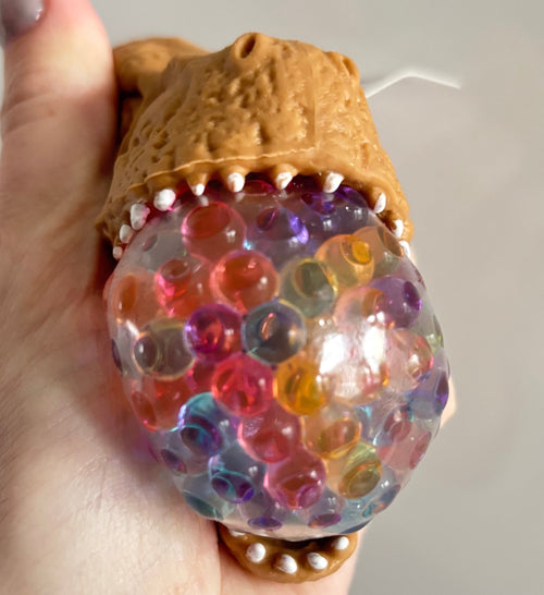 Dino head water bead squishy