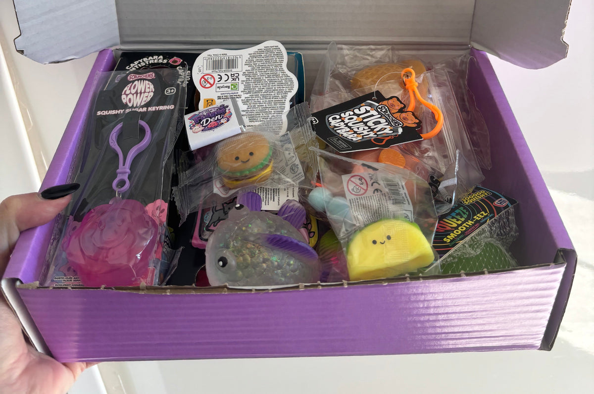Fidget Den Mystery box