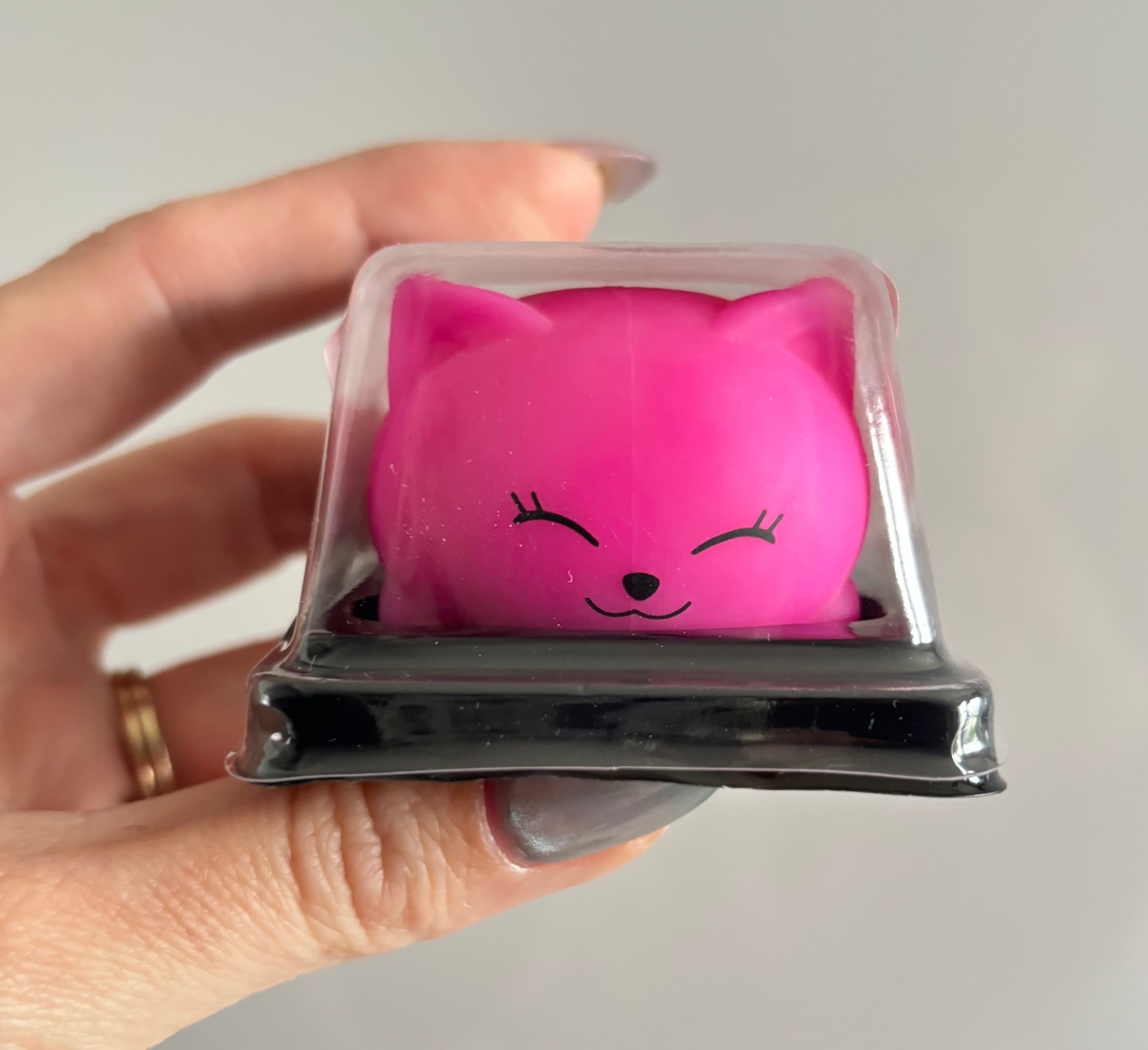 Squish meez Squishy pets