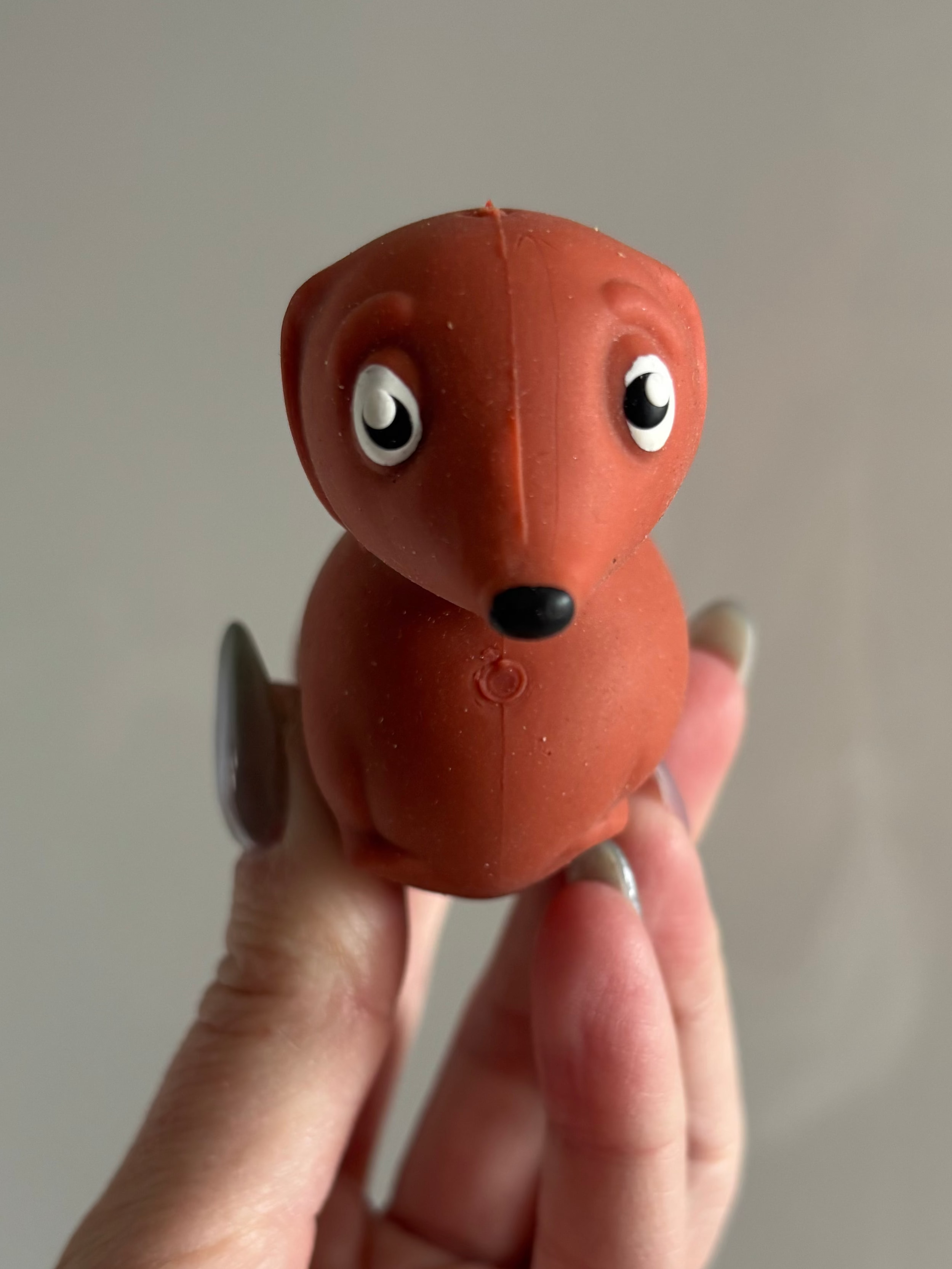 Pawfect pets sausage dog
