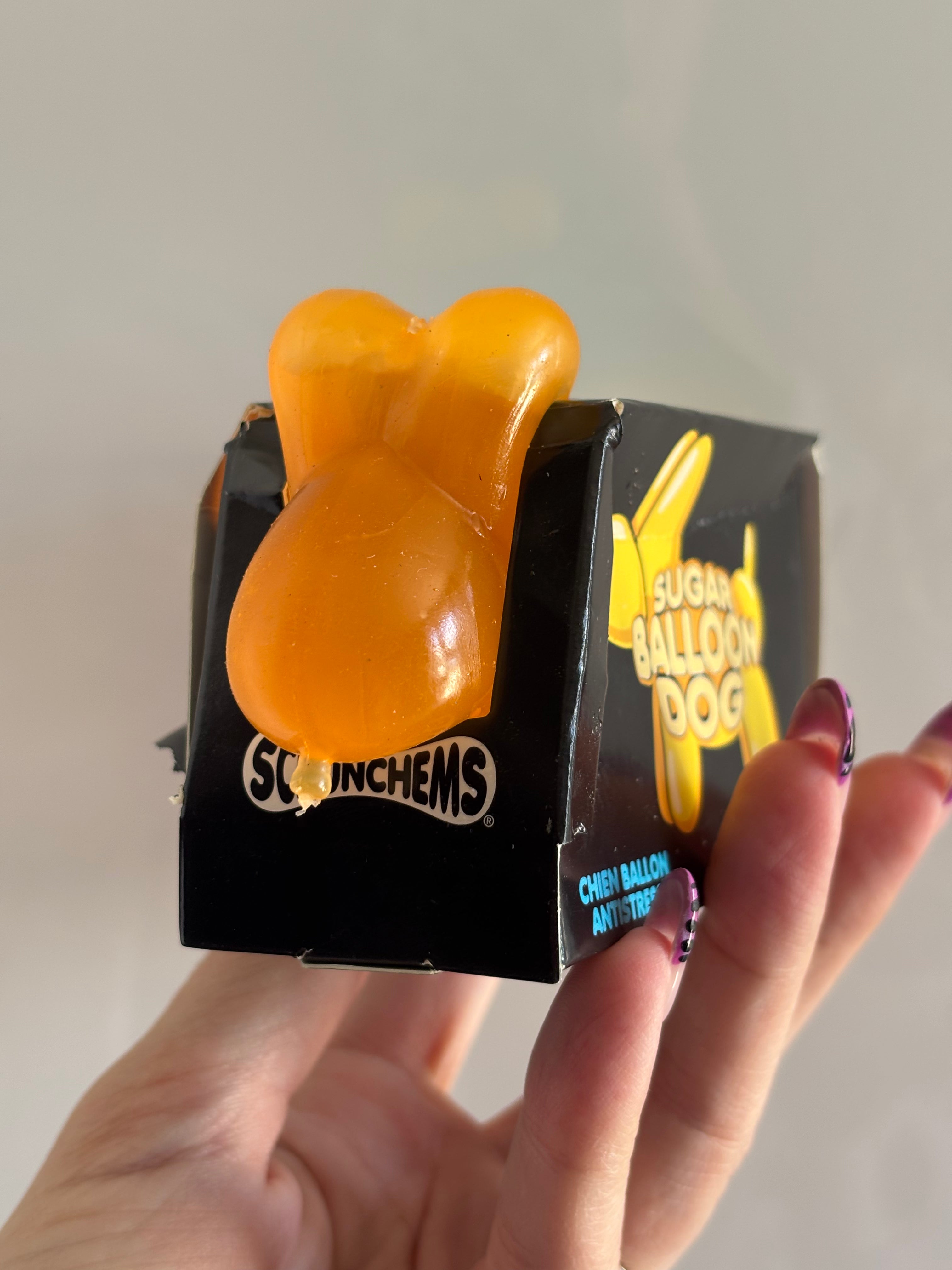 Scrunchems balloon dog