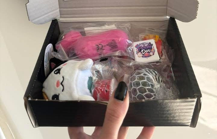 Fidget Den Mystery box